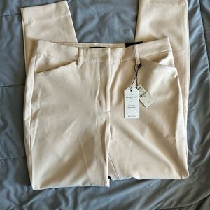 Express dress pant